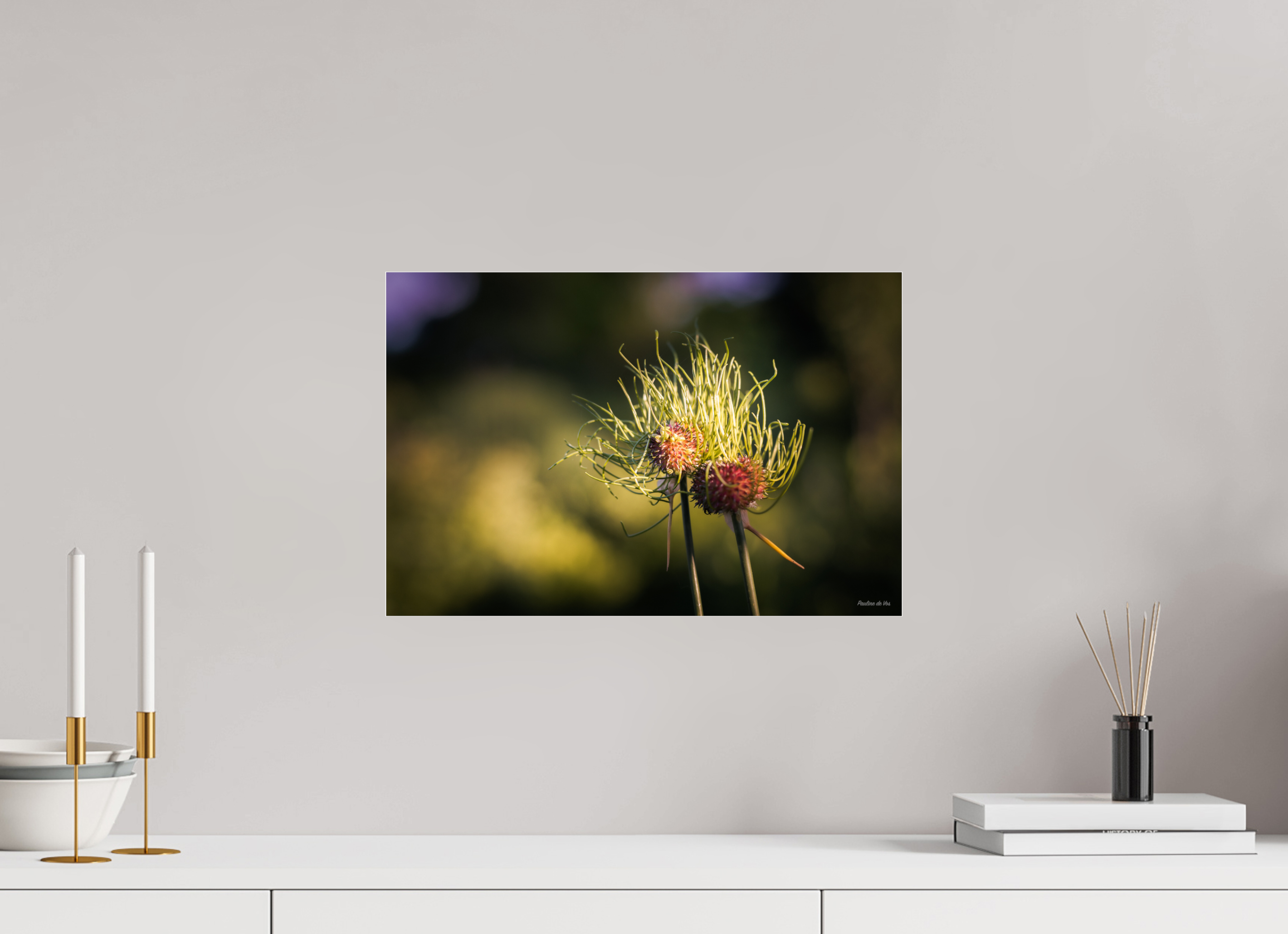 45 x 30 cm, Photo Print Under Acrylic Glass Fleurs dans le Jardin de Gulio à Ségur le Château (kopie)