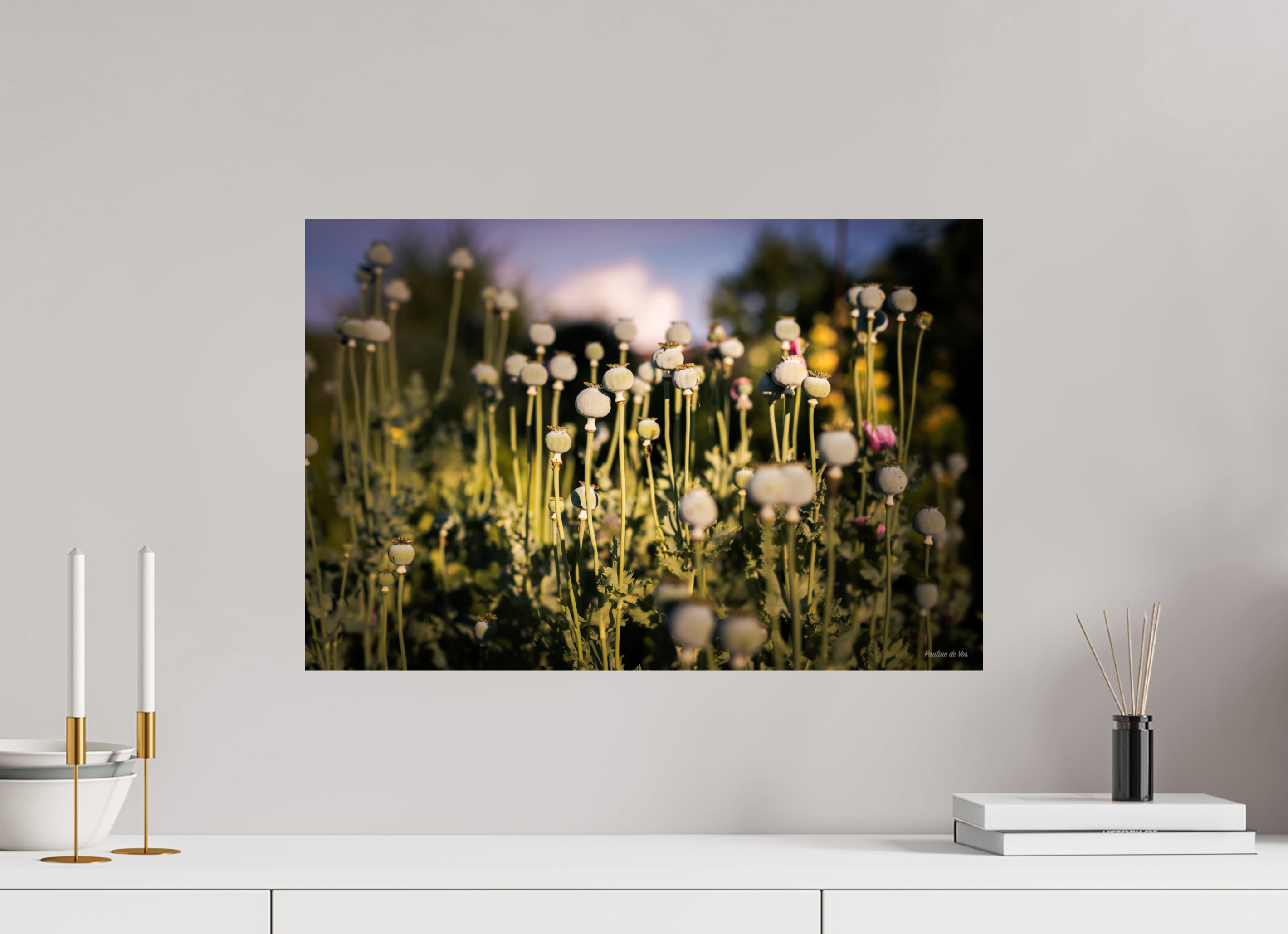 60 x 40 cm, Photo Print On Fuji Crystal DP II Fleurs dans le Jardin de Gulio à Ségur le Château