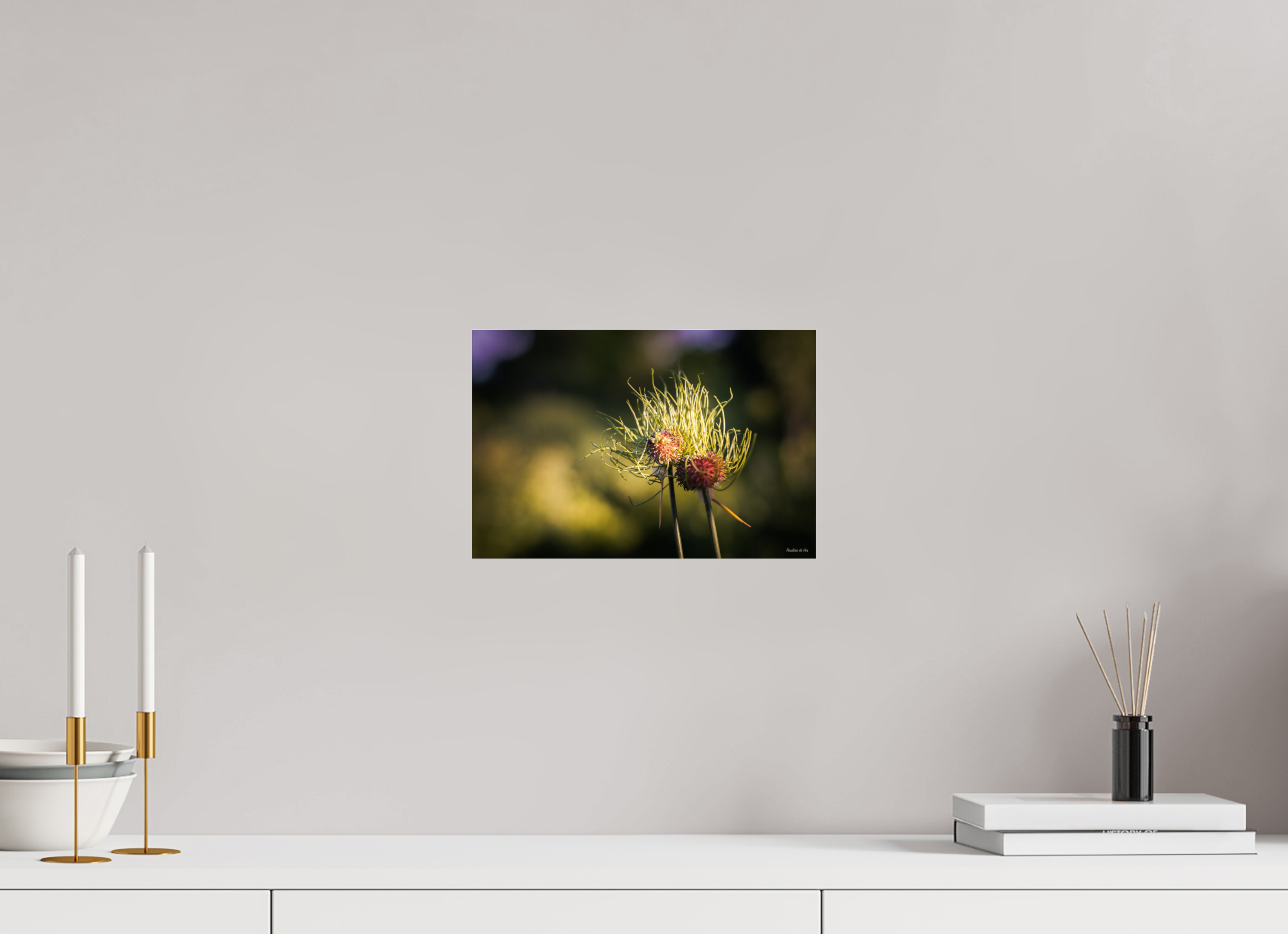 30 x 20 cm, Photo Print Under Acrylic Glass Fleurs dans le Jardin de Gulio à Ségur le Château (kopie)