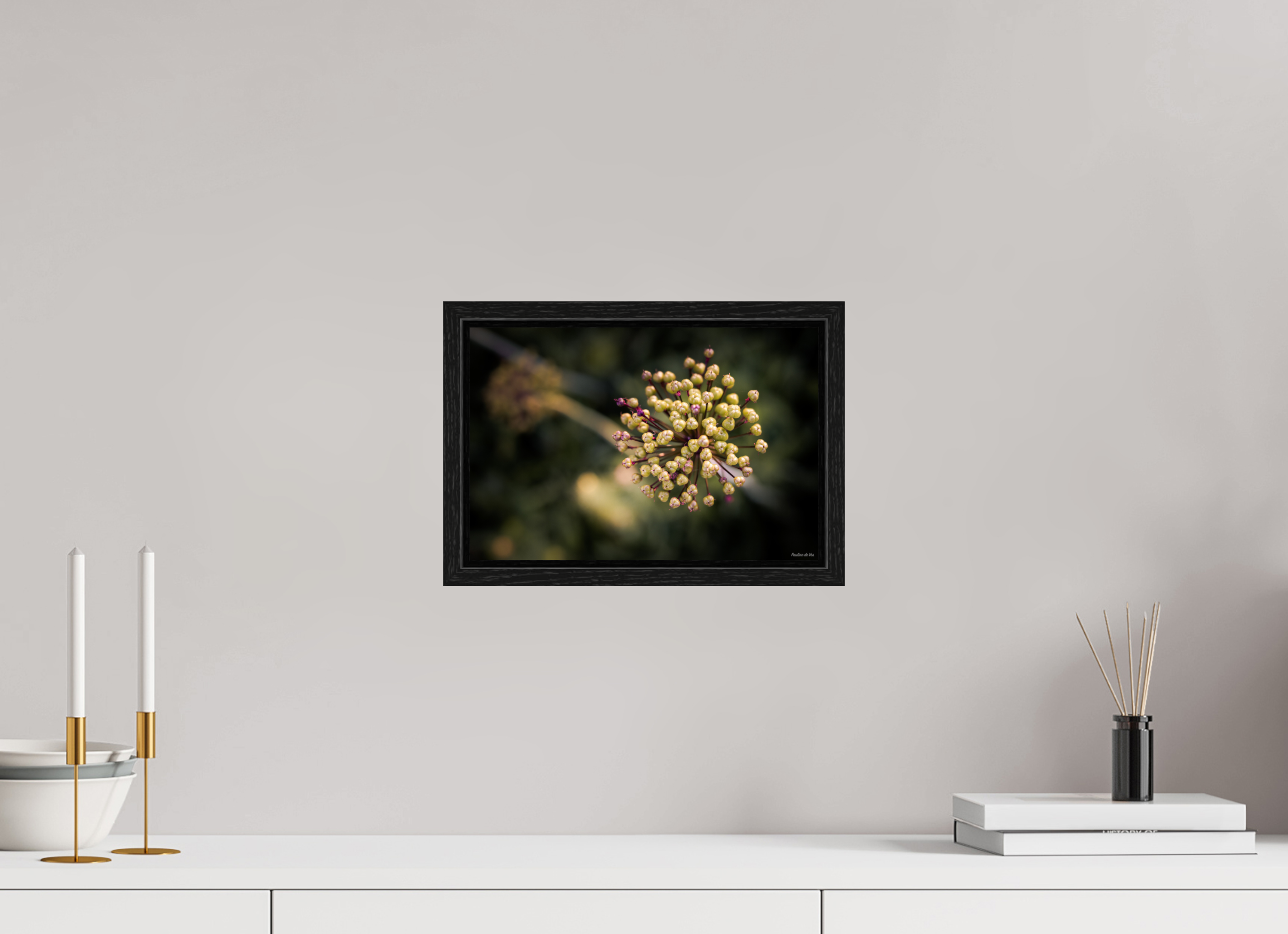 30 x 20 cm, Floater Frame Fleurs dans le Jardin de Gulio à Ségur le Château