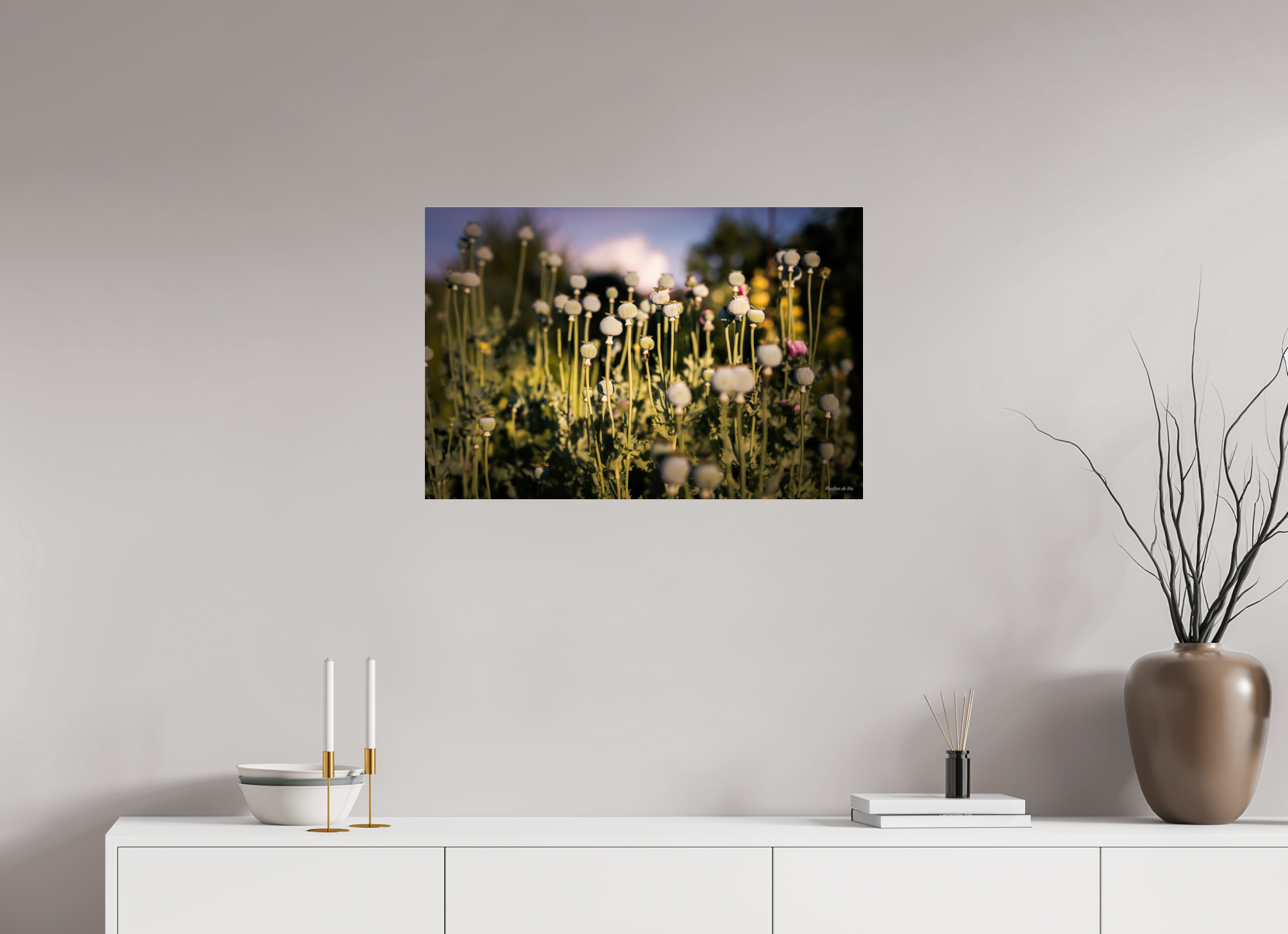75 x 50 cm, Photo Print Under Acrylic Glass Fleurs dans le Jardin de Gulio à Ségur le Château