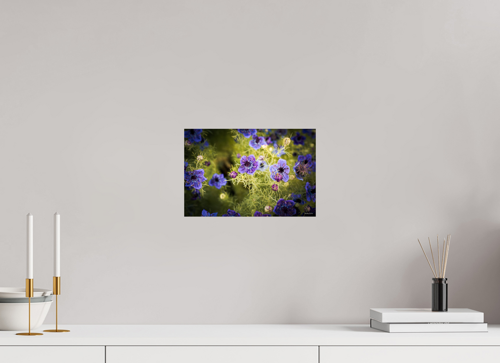 30 x 20 cm, Photo Print On Fuji Crystal DP II Fleurs dans le Jardin de Gulio à Ségur le Château