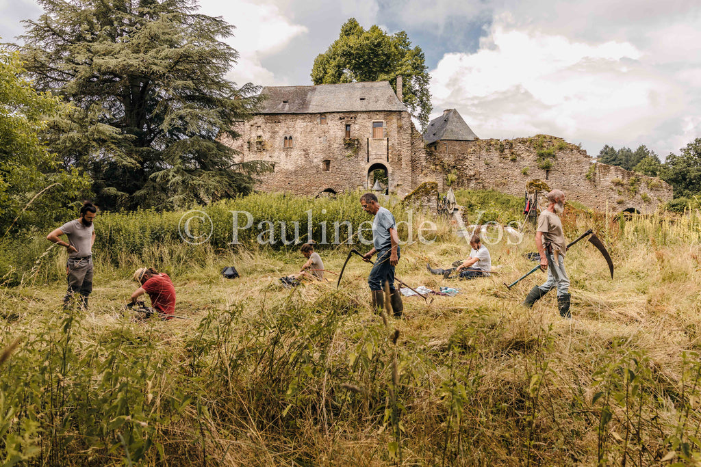 Fauchage à la faux à Ségur le Château