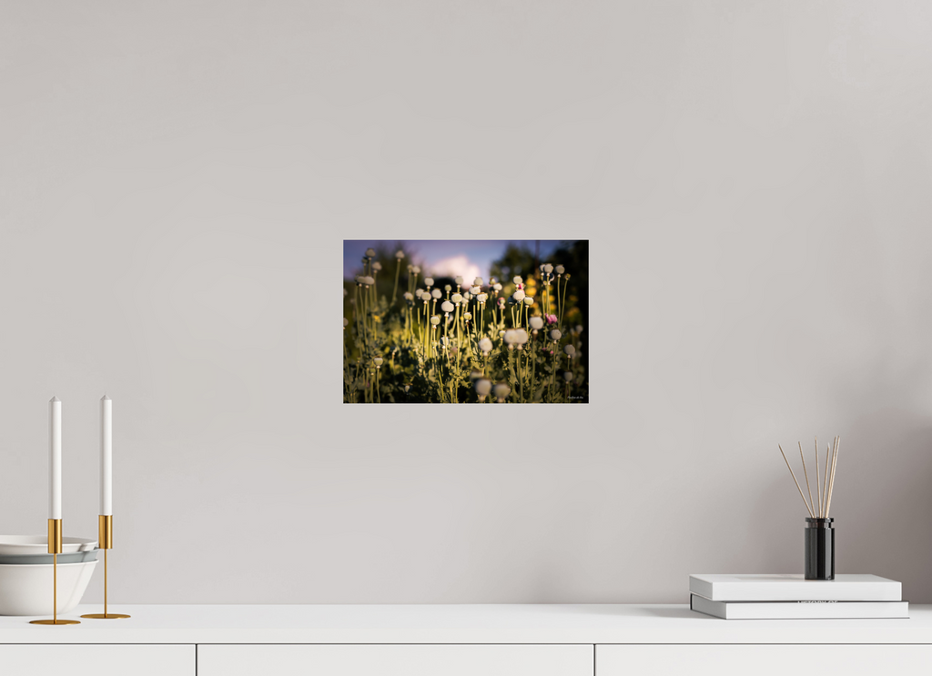 30 x 20 cm, Photo Print On Fuji Crystal DP II Fleurs dans le Jardin de Gulio à Ségur le Château