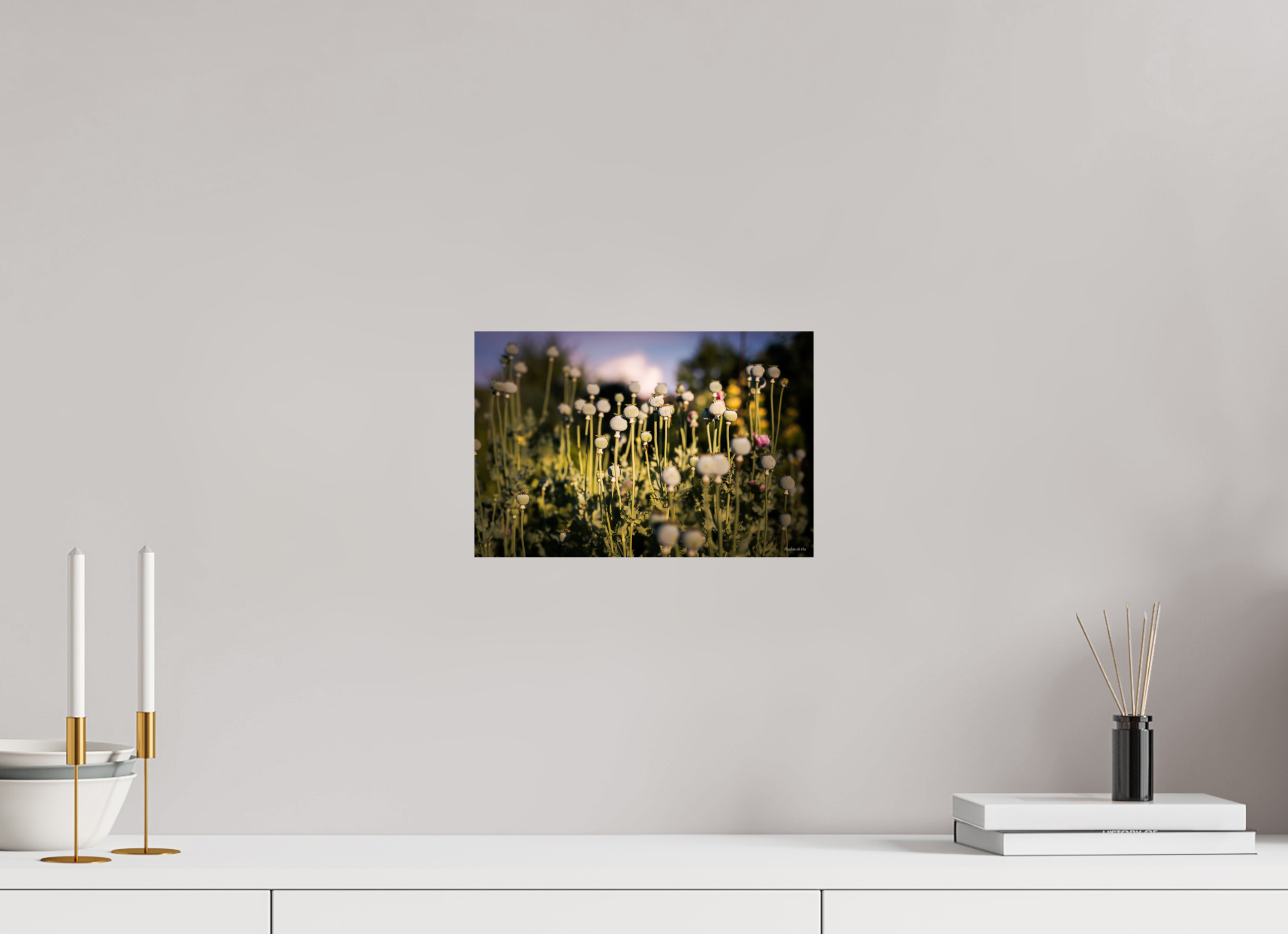 30 x 20 cm, Photo Print On Fuji Crystal DP II Fleurs dans le Jardin de Gulio à Ségur le Château