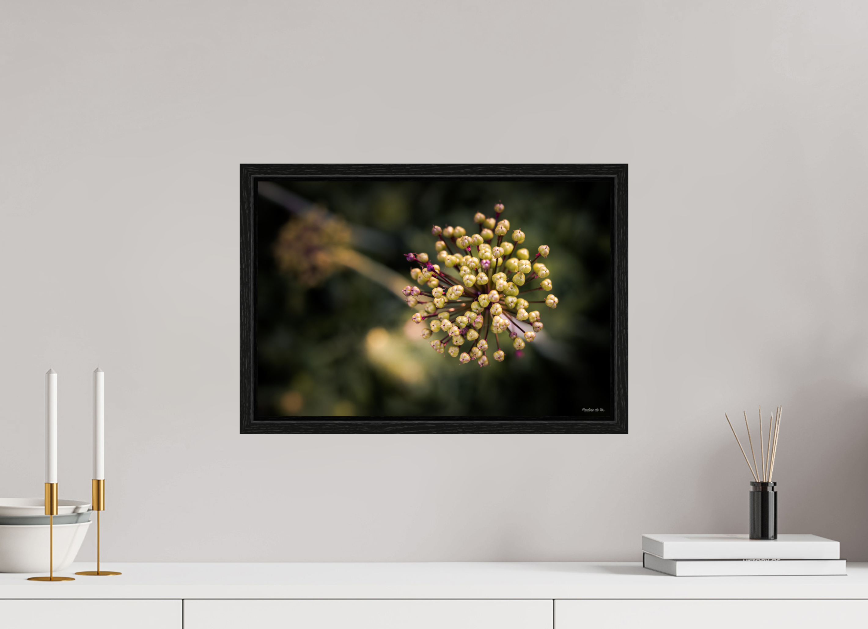 45 x 30 cm, Floater Frame Fleurs dans le Jardin de Gulio à Ségur le Château