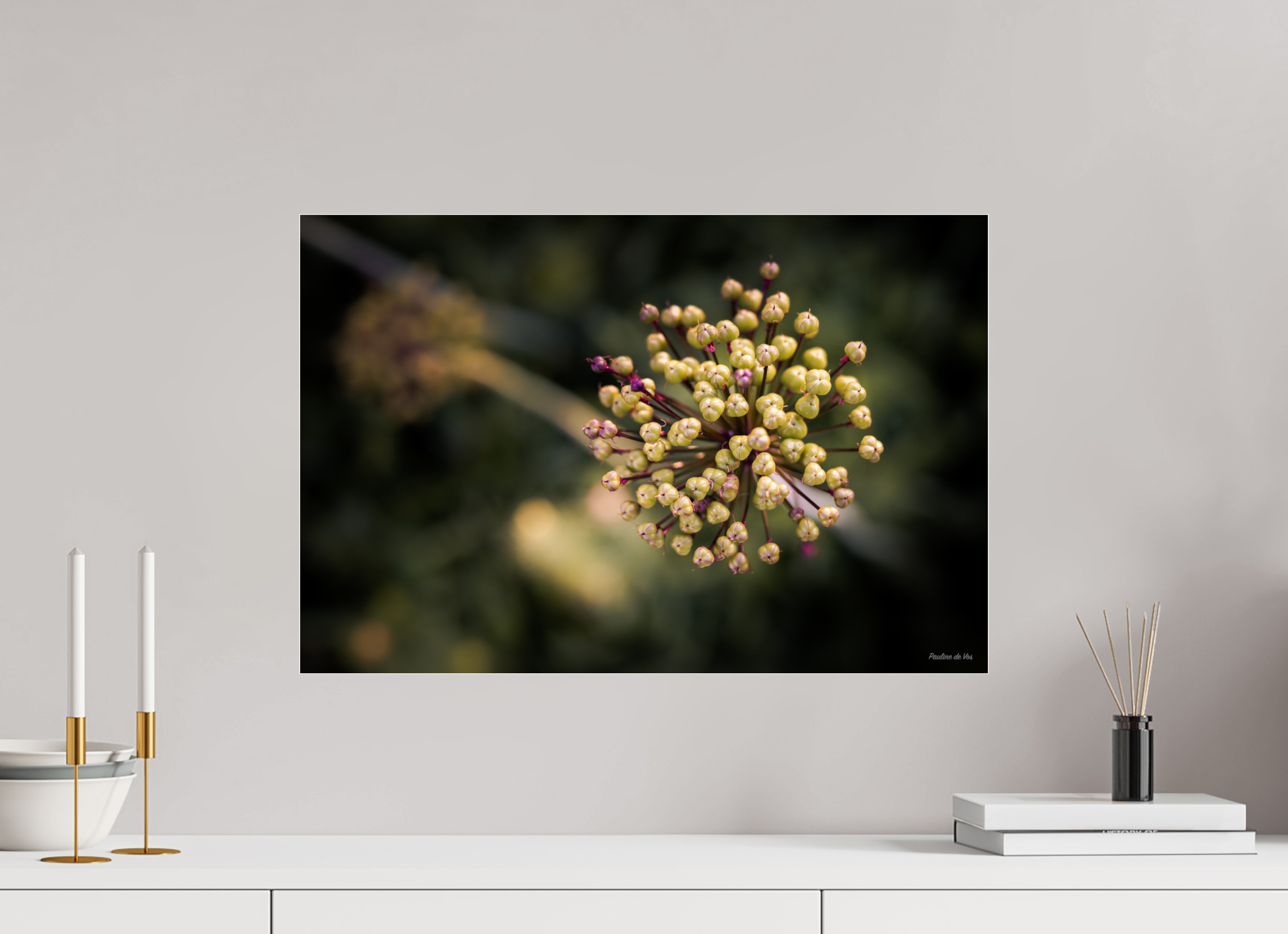 60 x 40 cm, Photo Print Under Acrylic Glass Fleurs dans le Jardin de Gulio à Ségur le Château