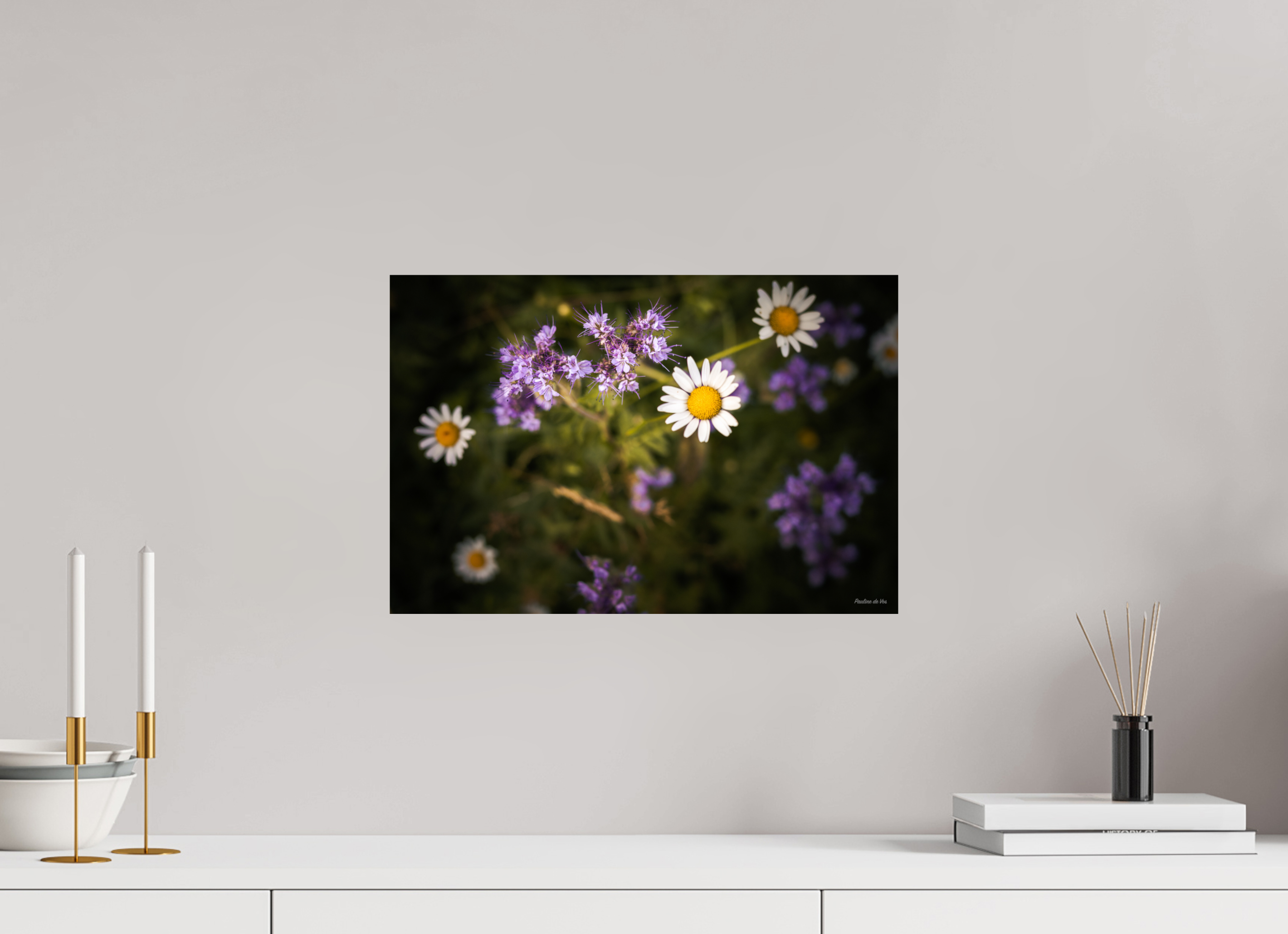 45 x 30 cm, Photo Print On Fuji Crystal DP II Fleurs dans le Jardin de Gulio à Ségur le Château