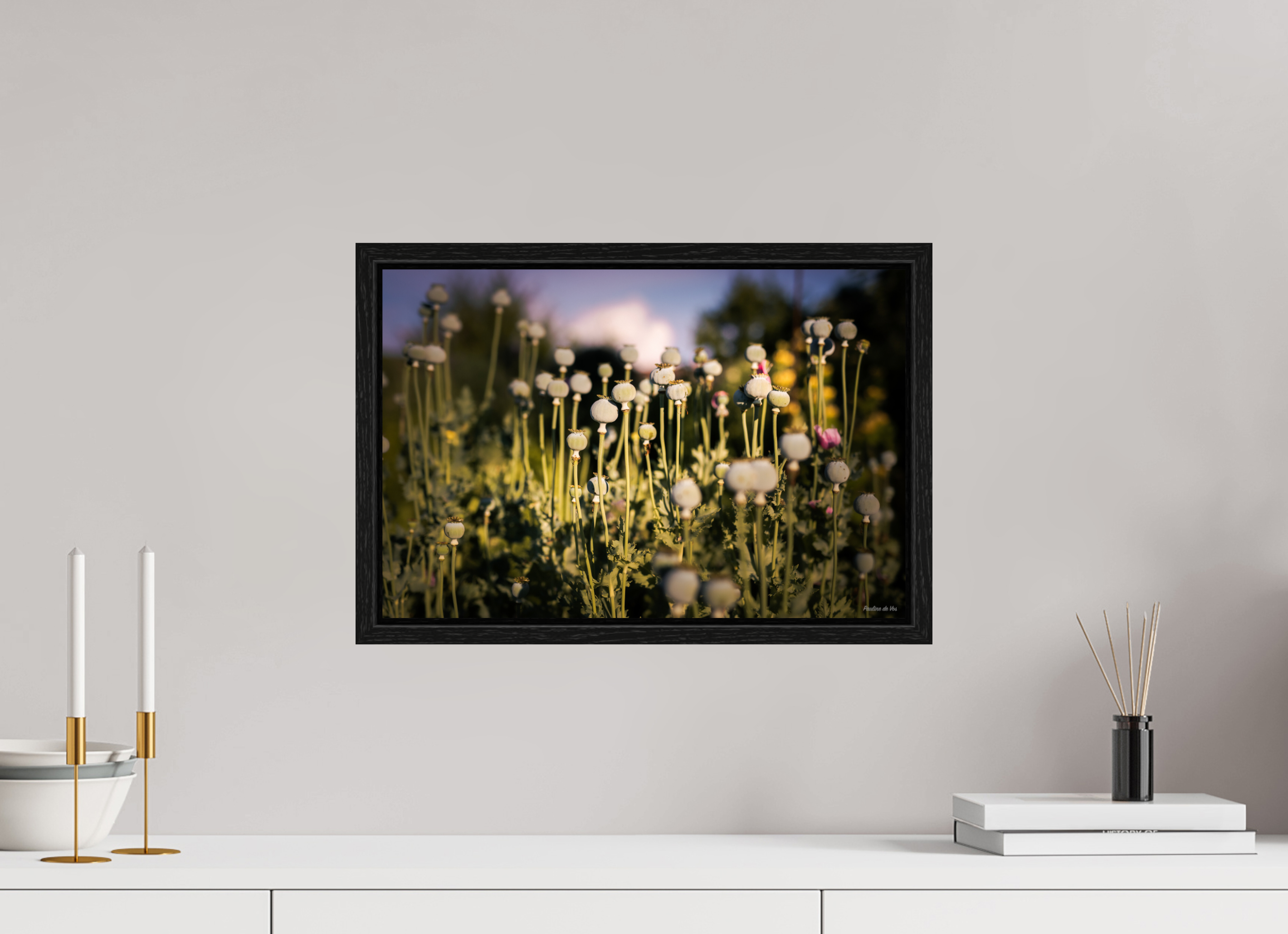 45 x 30 cm, Floater Frame Fleurs dans le Jardin de Gulio à Ségur le Château