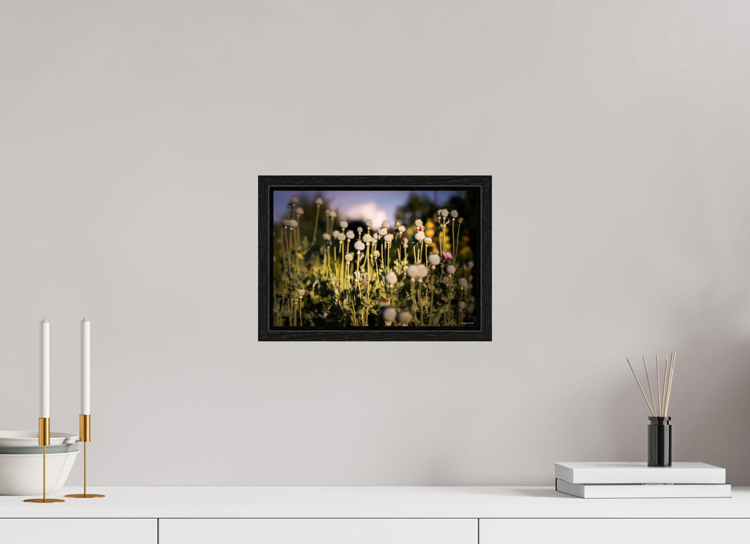 30 x 20 cm, Floater Frame Fleurs dans le Jardin de Gulio à Ségur le Château