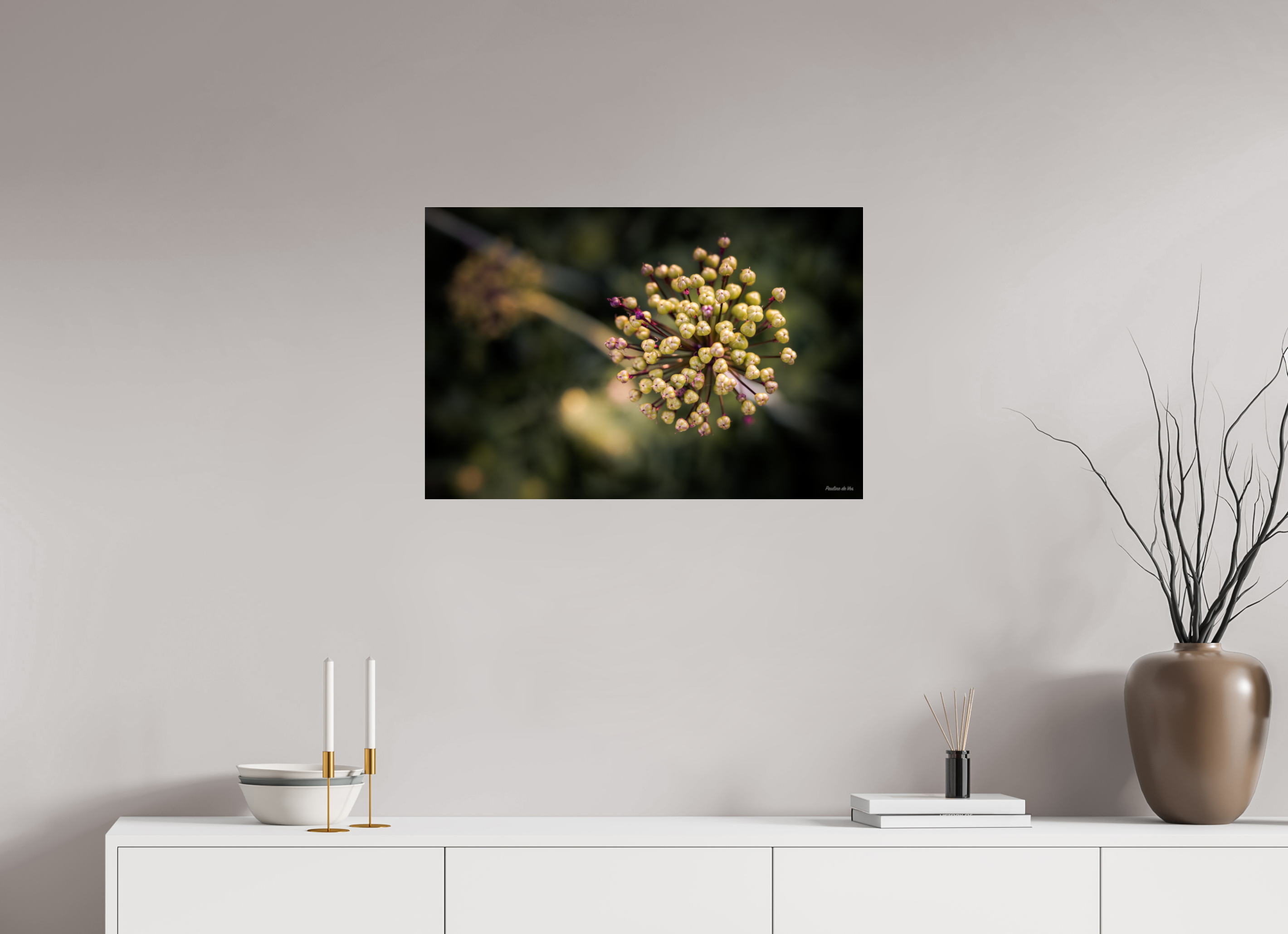 75 x 50 cm, Photo Print Under Acrylic Glass Fleurs dans le Jardin de Gulio à Ségur le Château
