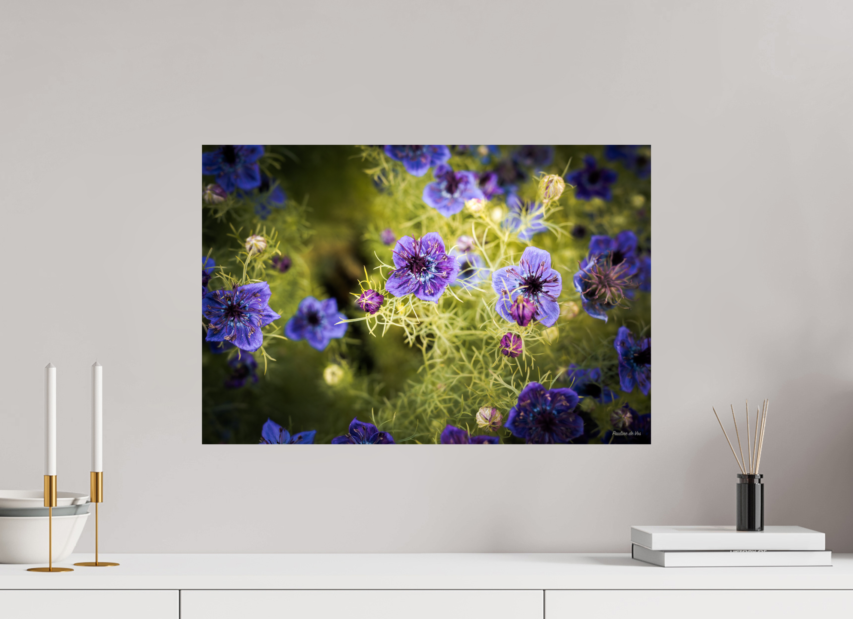 60 x 40 cm, Photo Print On Fuji Crystal DP II Fleurs dans le Jardin de Gulio à Ségur le Château