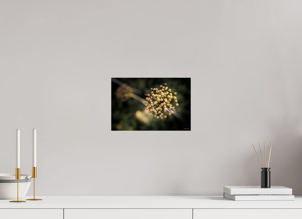 30 x 20 cm, Photo Print On Fuji Crystal DP II Fleurs dans le Jardin de Gulio à Ségur le Château