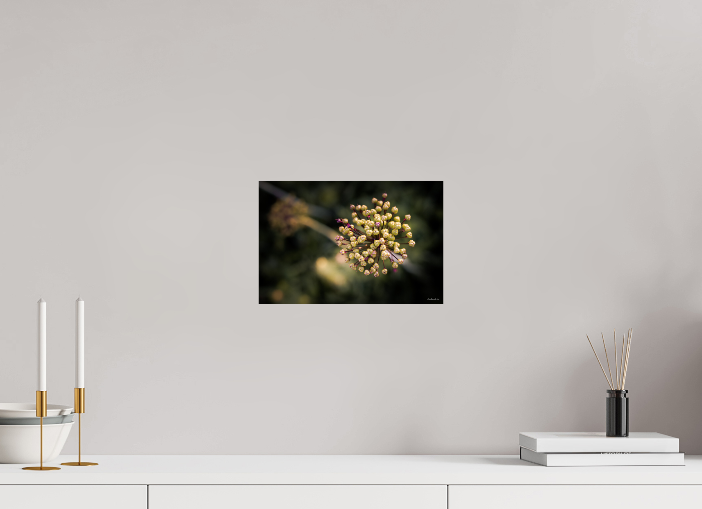 30 x 20 cm, Photo Print On Fuji Crystal DP II Fleurs dans le Jardin de Gulio à Ségur le Château