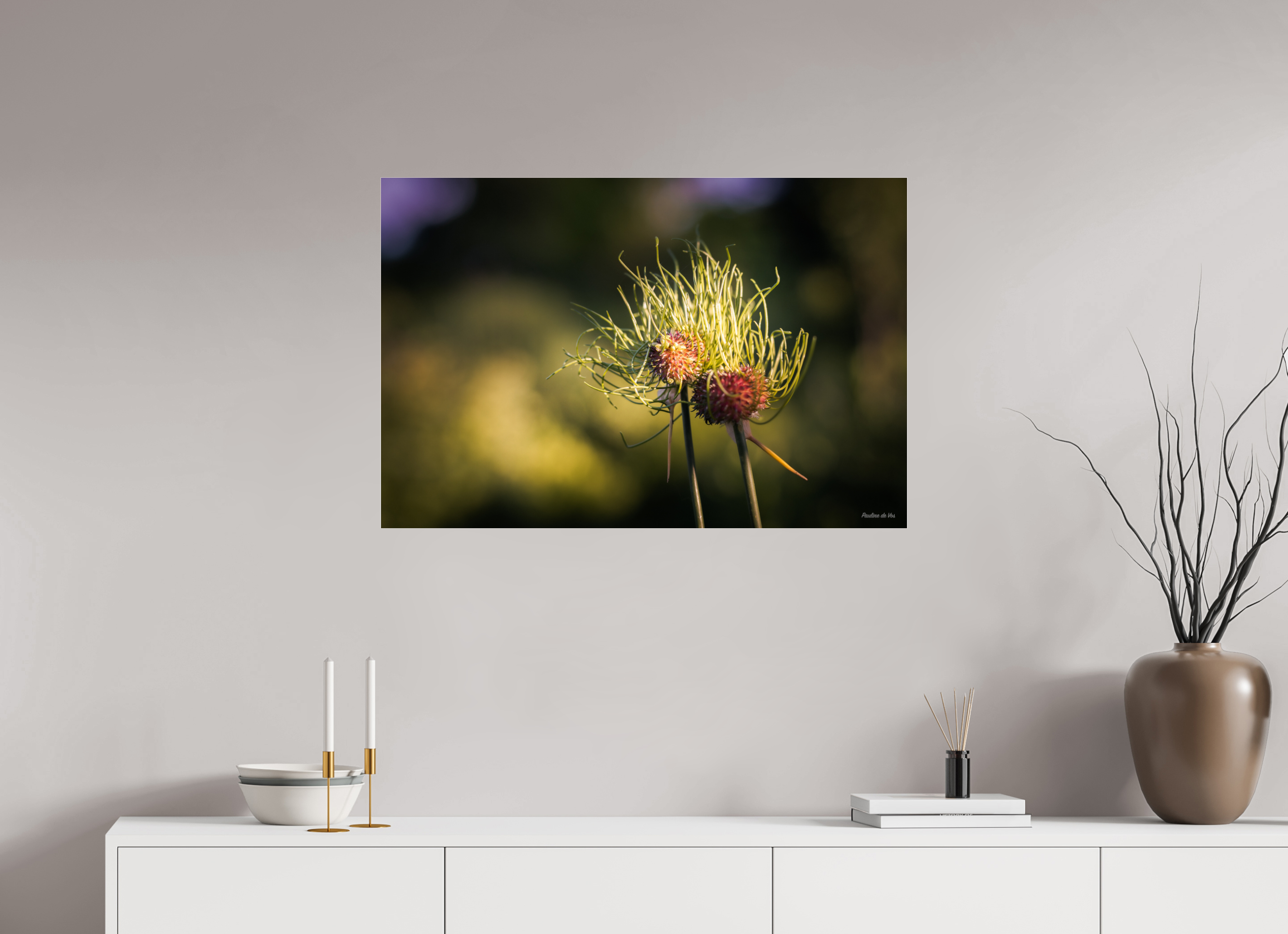 90 x 60 cm, Photo Print Under Acrylic Glass Fleurs dans le Jardin de Gulio à Ségur le Château (kopie)