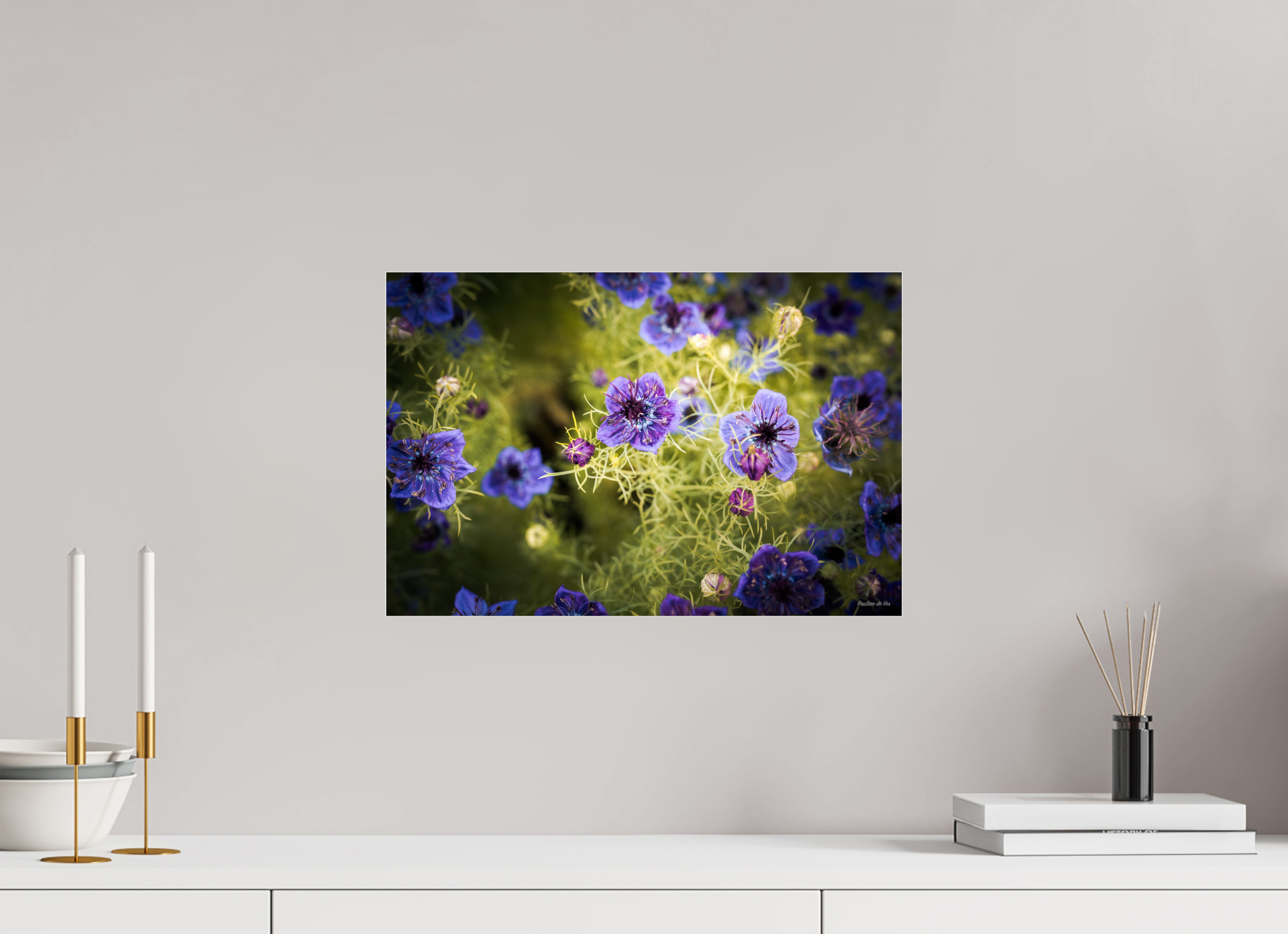 45 x 30 cm, Photo Print Under Acrylic Glass Fleurs dans le Jardin de Gulio à Ségur le Château