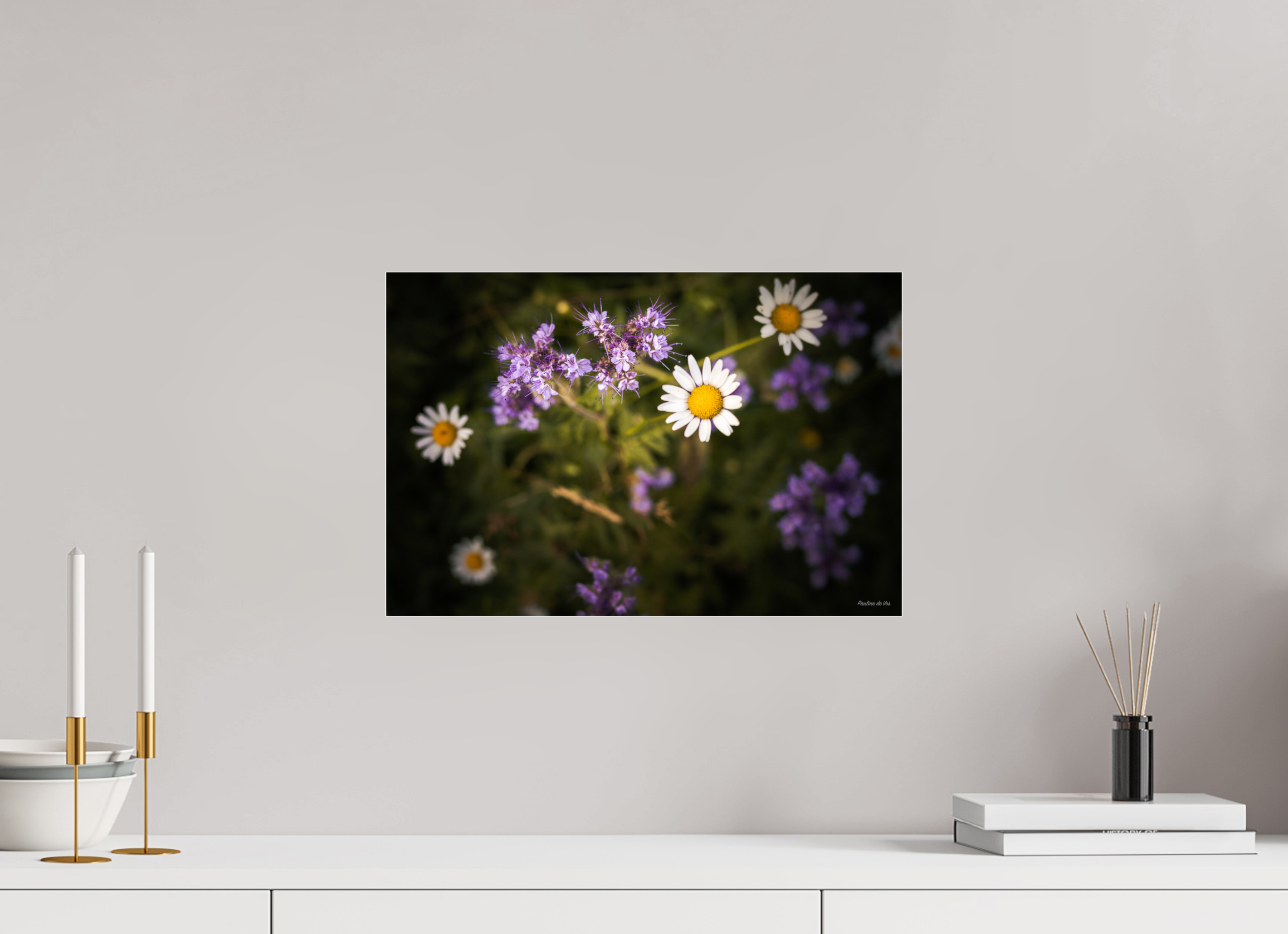 45 x 30 cm, Photo Print Under Acrylic Glass Fleurs dans le Jardin de Gulio à Ségur le Château