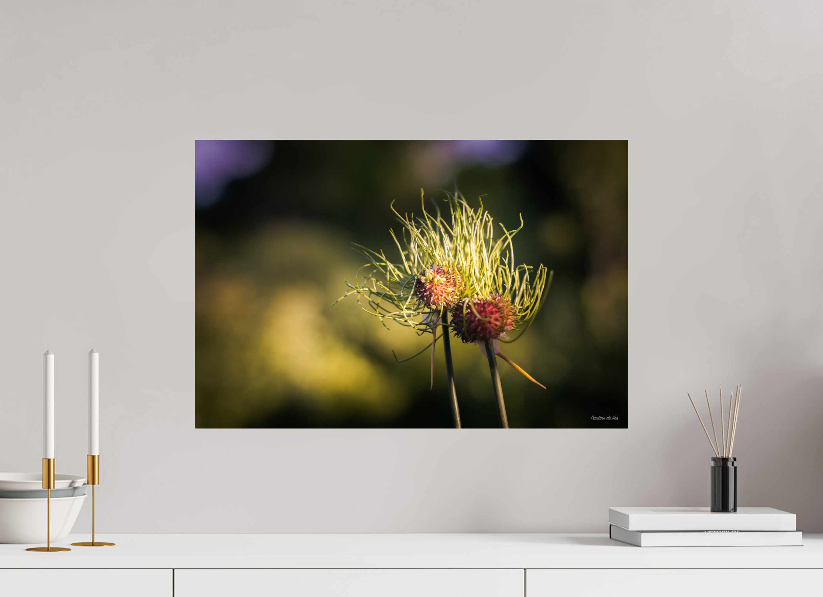60 x 40 cm, Photo Print On Fuji Crystal DP II Fleurs dans le Jardin de Gulio à Ségur le Château (kopie)