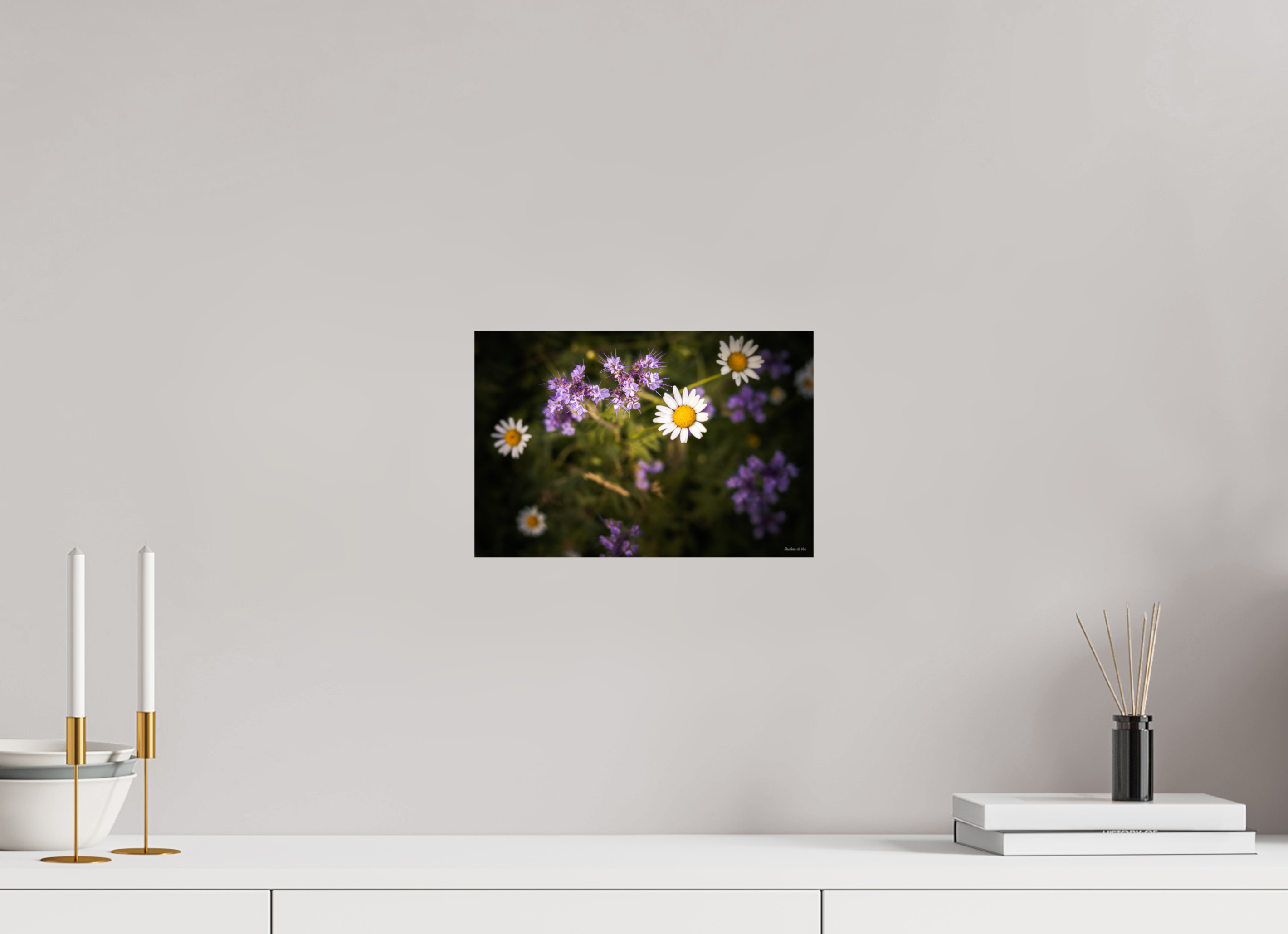 30 x 20 cm, Photo Print On Fuji Crystal DP II Fleurs dans le Jardin de Gulio à Ségur le Château