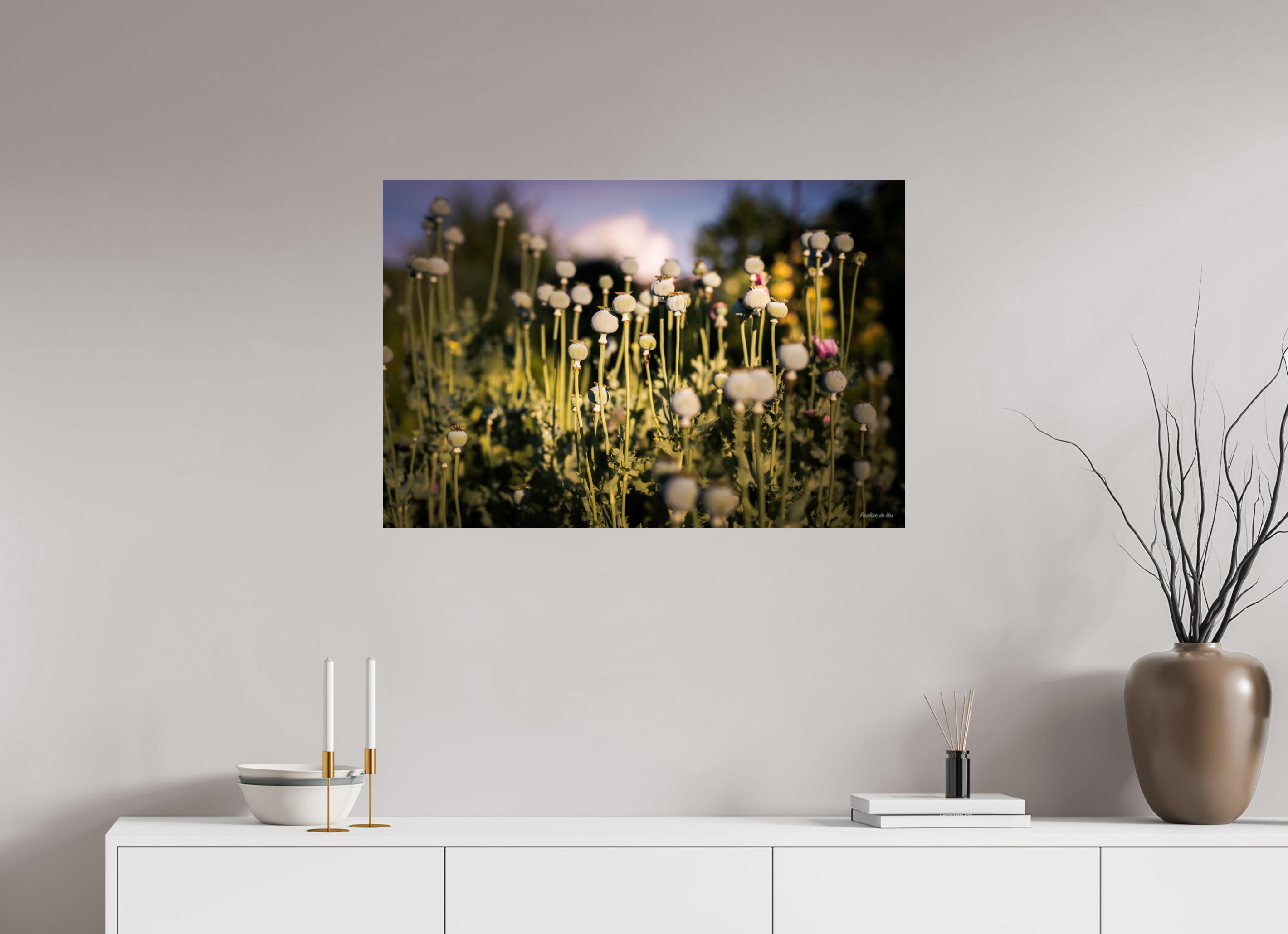 90 x 60 cm, Photo Print On Fuji Crystal DP II Fleurs dans le Jardin de Gulio à Ségur le Château