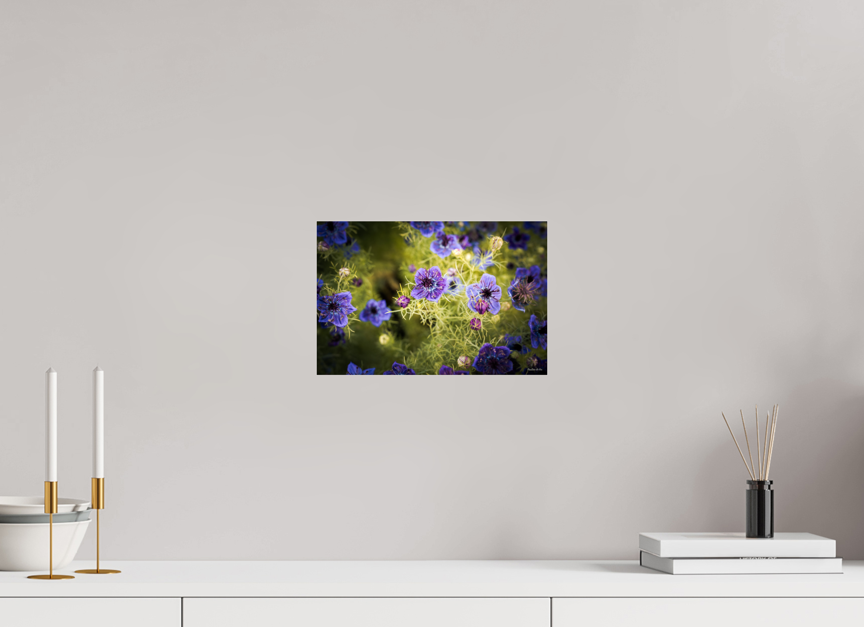 30 x 20 cm, Photo Print Under Acrylic Glass Fleurs dans le Jardin de Gulio à Ségur le Château