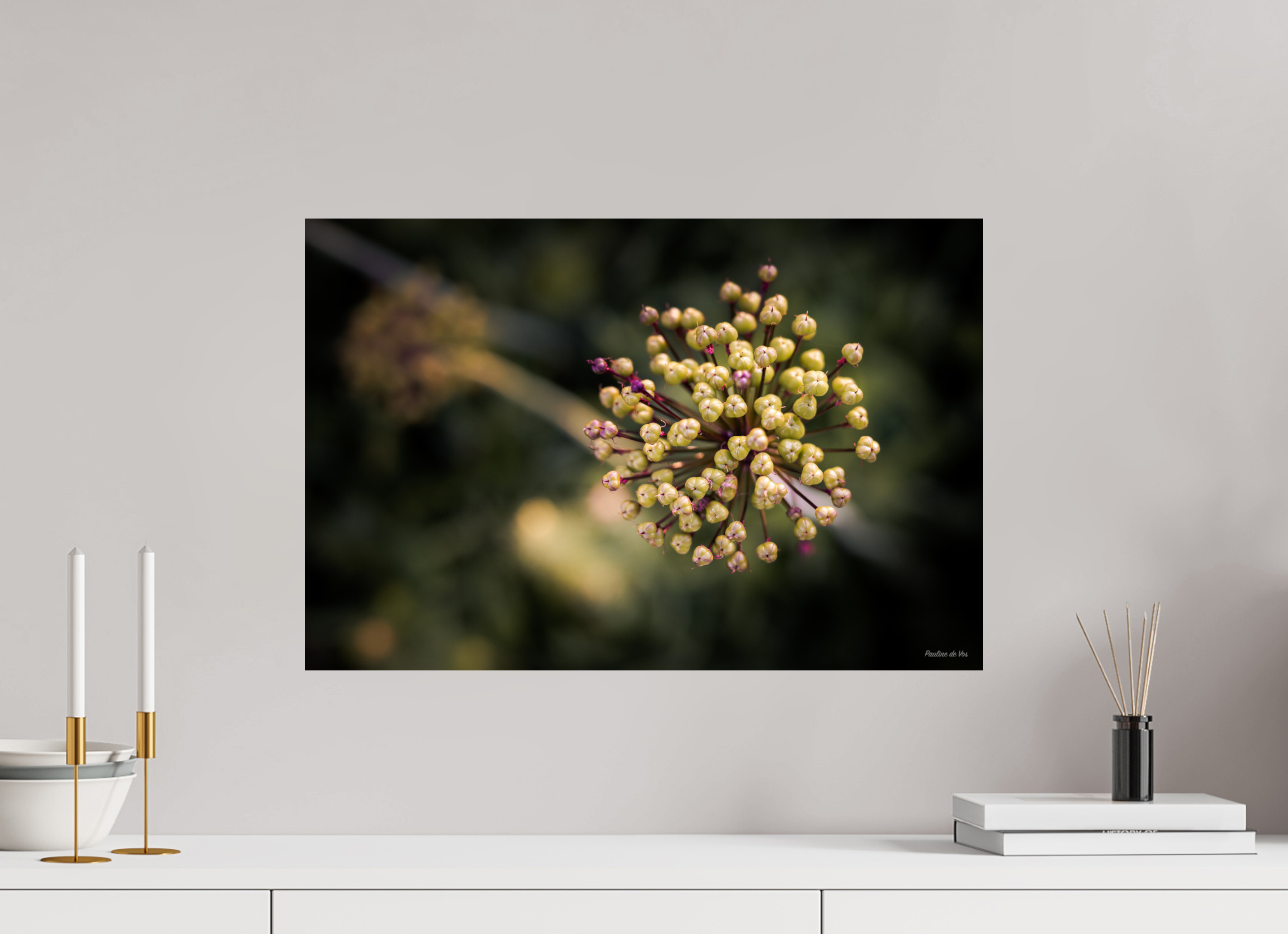 60 x 40 cm, Photo Print On Fuji Crystal DP II Fleurs dans le Jardin de Gulio à Ségur le Château