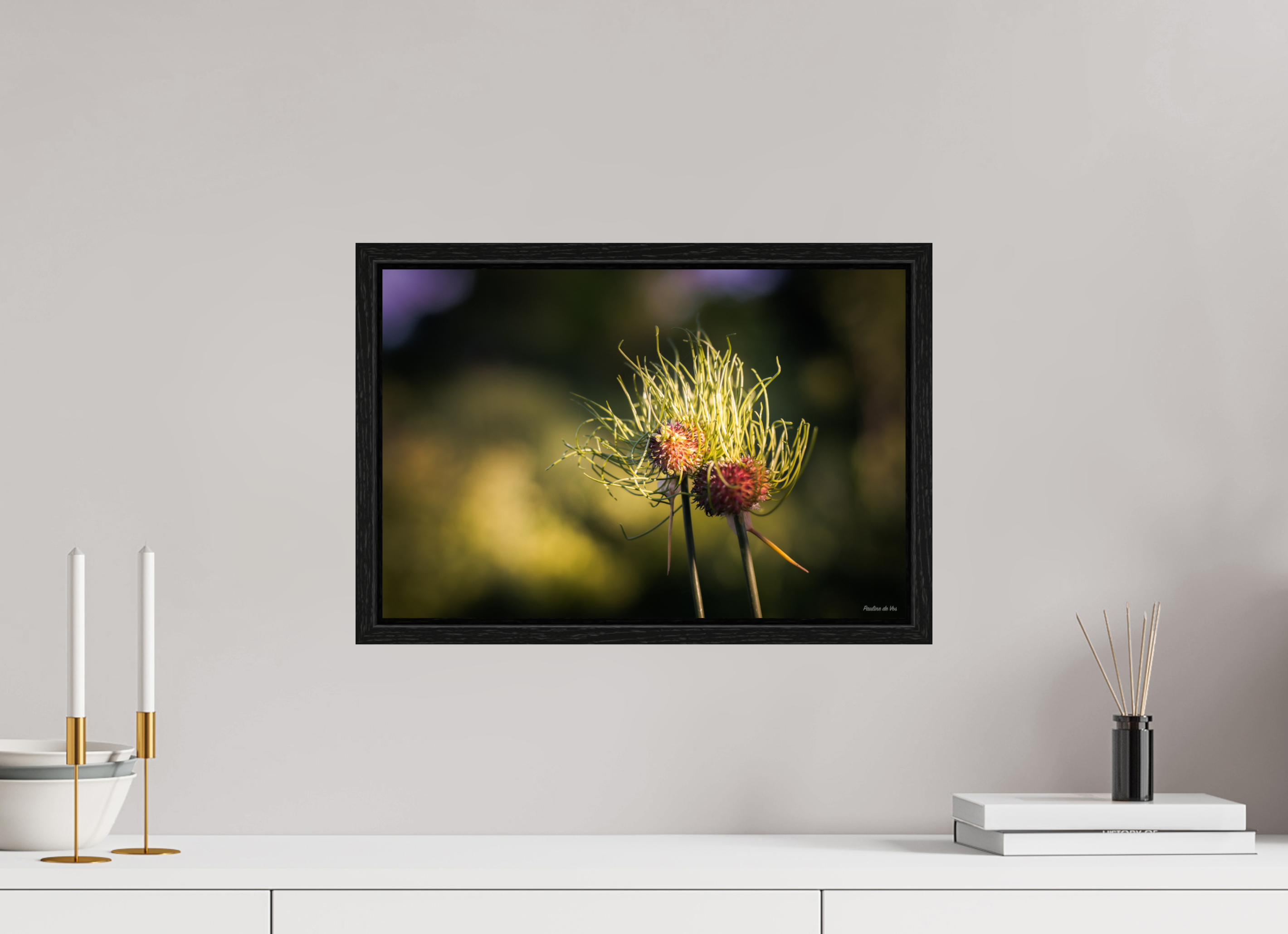 45 x 30 cm, Floater Frame Fleurs dans le Jardin de Gulio à Ségur le Château (kopie)