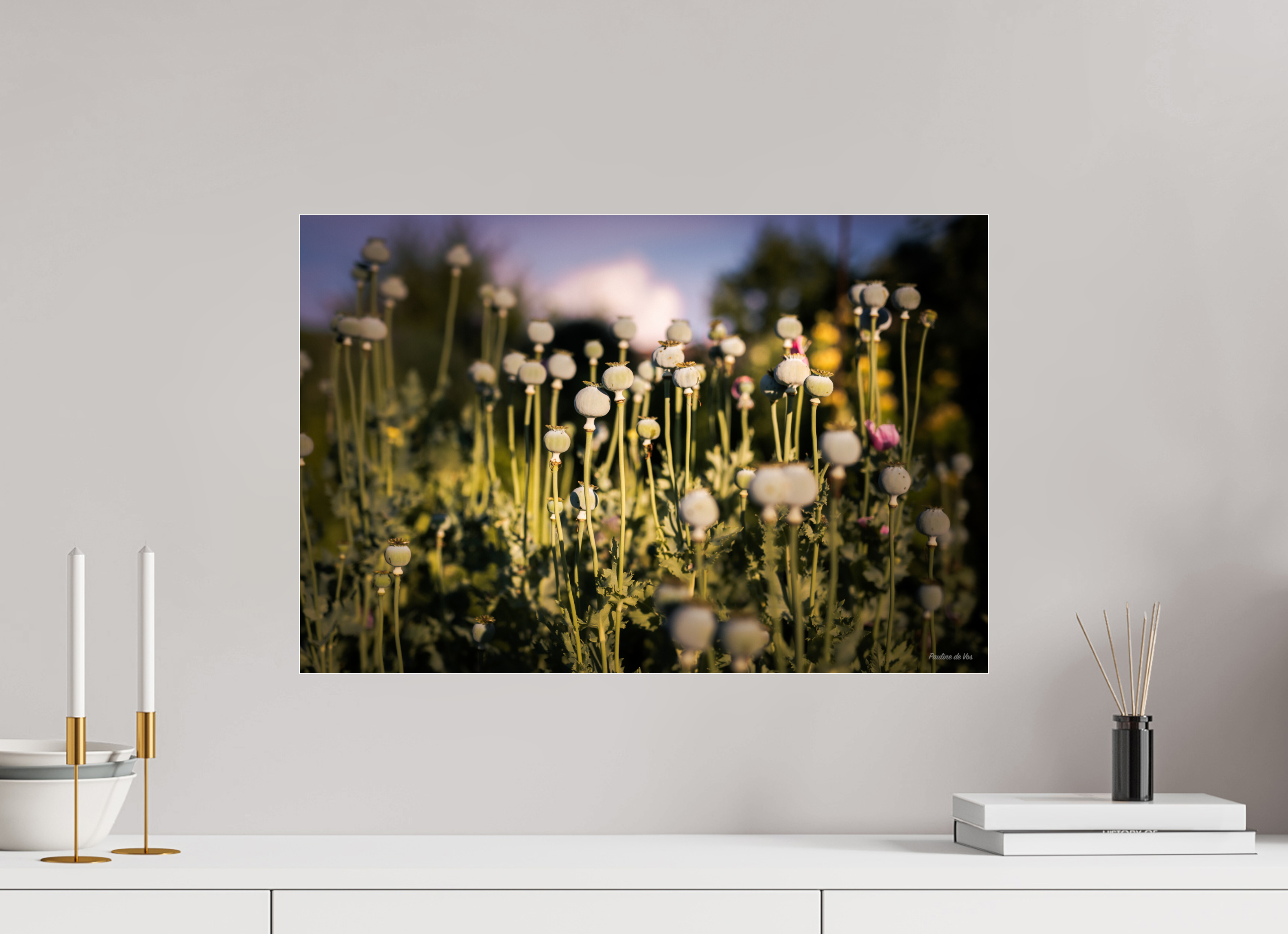 60 x 40 cm, Photo Print Under Acrylic Glass Fleurs dans le Jardin de Gulio à Ségur le Château