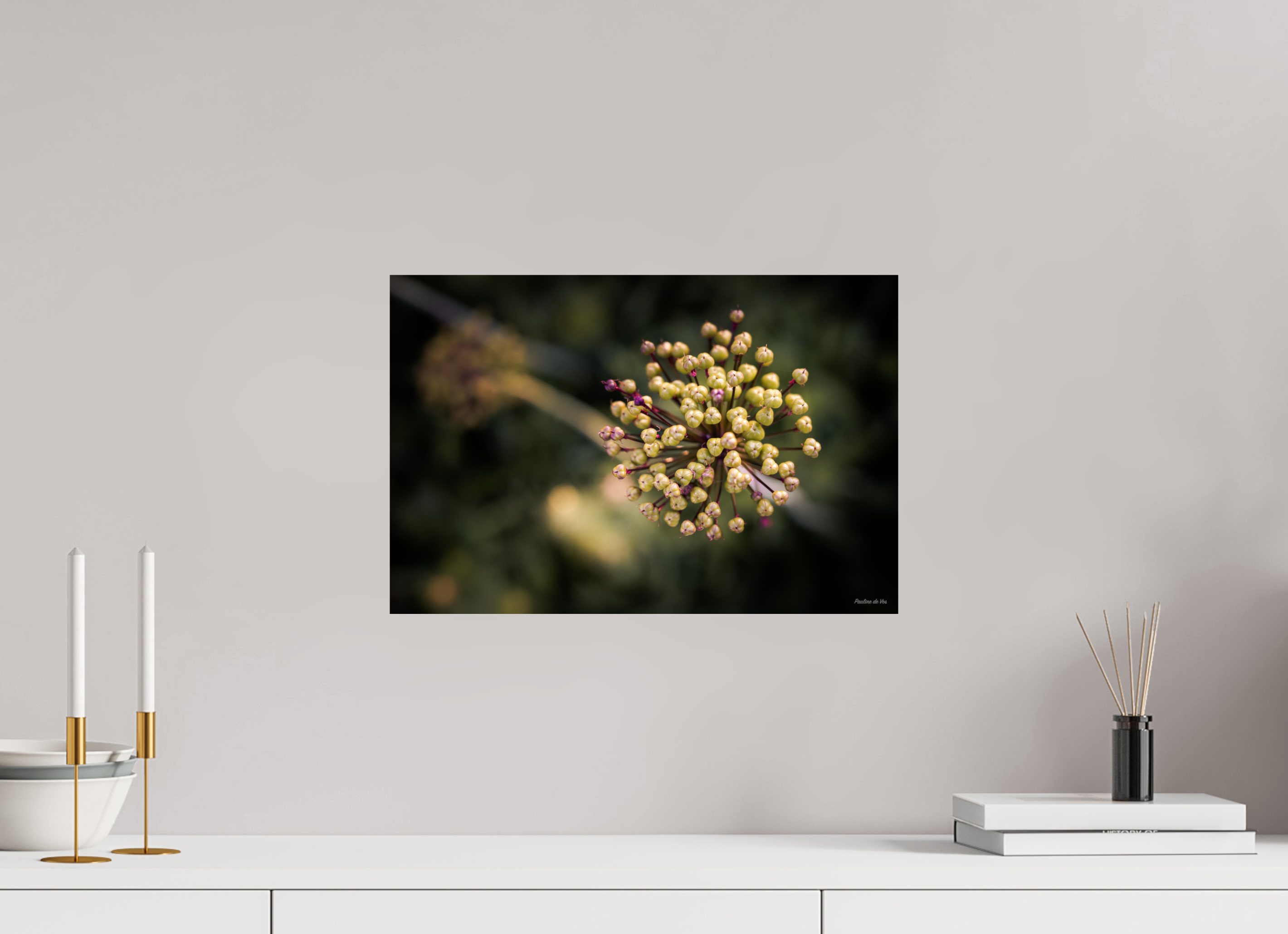 45 x 30 cm, Photo Print On Fuji Crystal DP II Fleurs dans le Jardin de Gulio à Ségur le Château