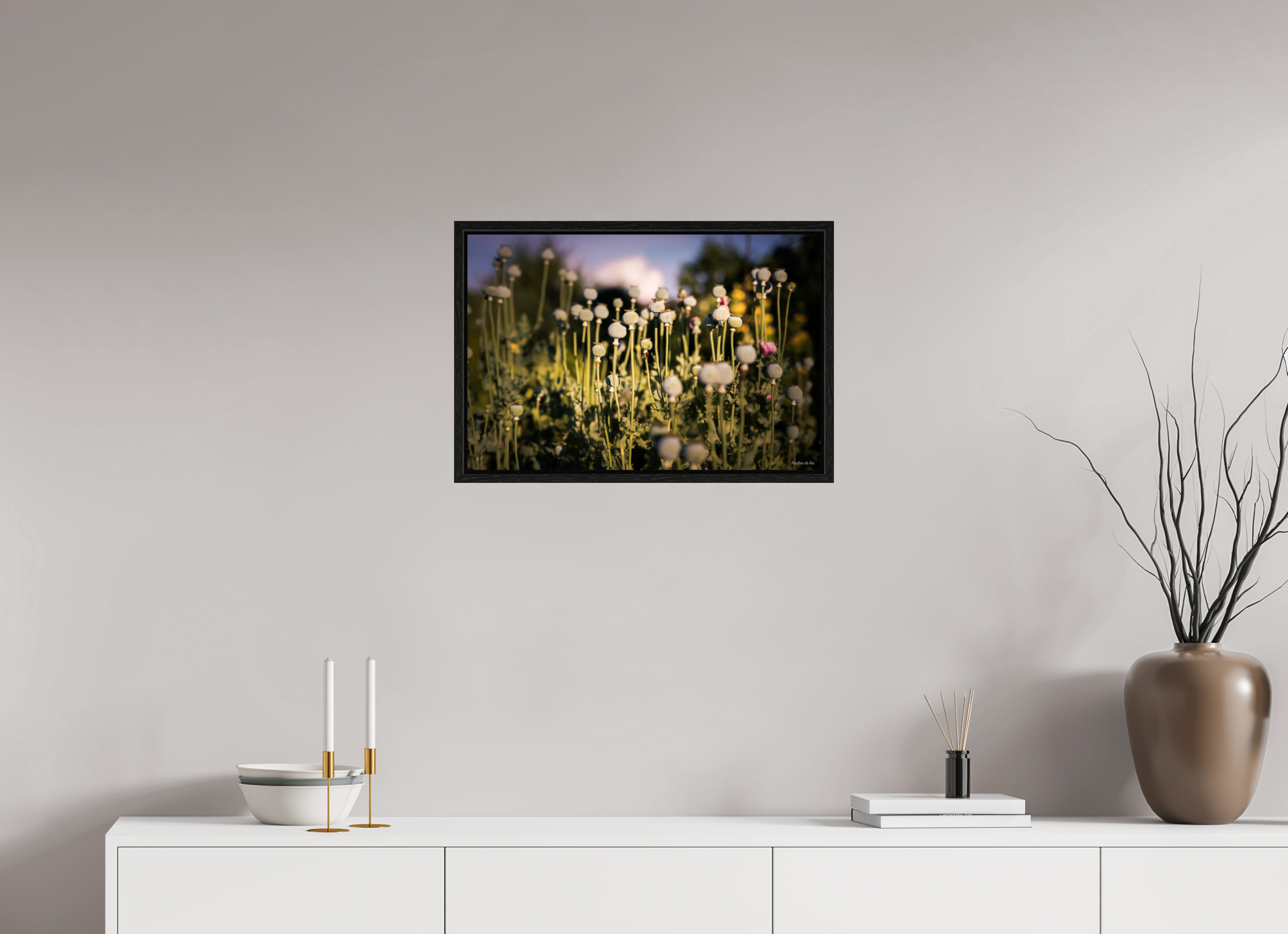 60 x 40 cm, Floater Frame Fleurs dans le Jardin de Gulio à Ségur le Château