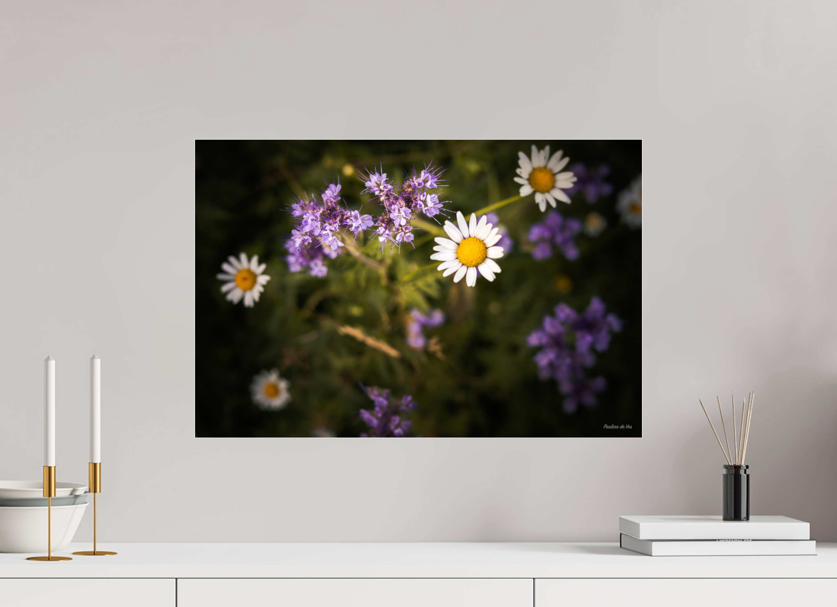 60 x 40 cm, Photo Print Under Acrylic Glass Fleurs dans le Jardin de Gulio à Ségur le Château