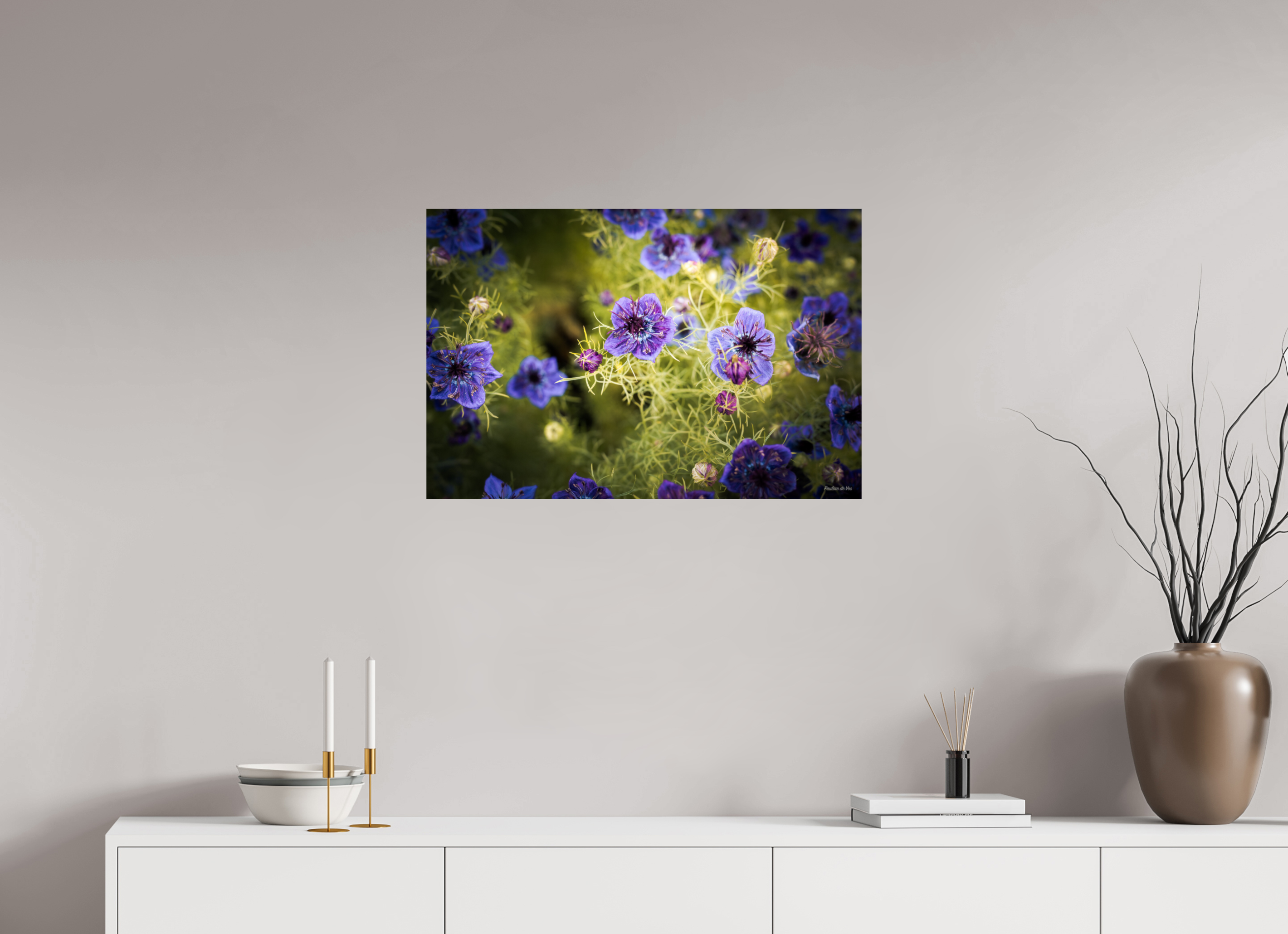 75 x 50 cm, Photo Print On Fuji Crystal DP II Fleurs dans le Jardin de Gulio à Ségur le Château